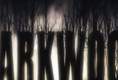 《解锁Darkwood的存档位置，畅游神秘森林》（探秘存档位置）