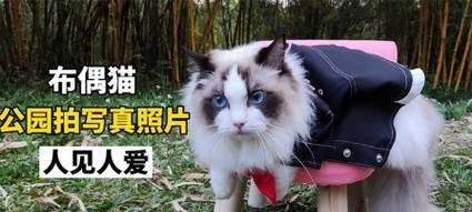 《猫咪狂想曲》中一只救公主的勇敢猫（用游戏走进梦幻世界）  第1张