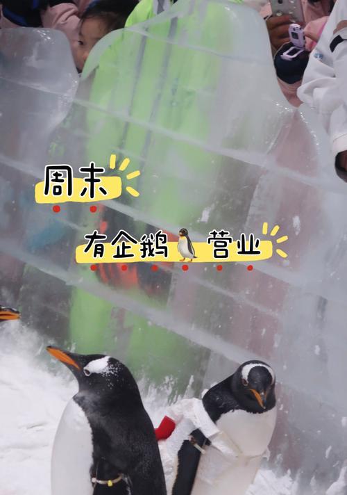 企鹅冰雪世界入口在哪？进入方法是什么？  第2张